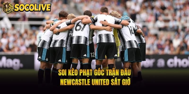 Soi Kèo Phạt Góc Trận Đấu Newcastle United Sát Giờ